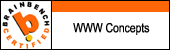 Brainbench WWW concepts certified